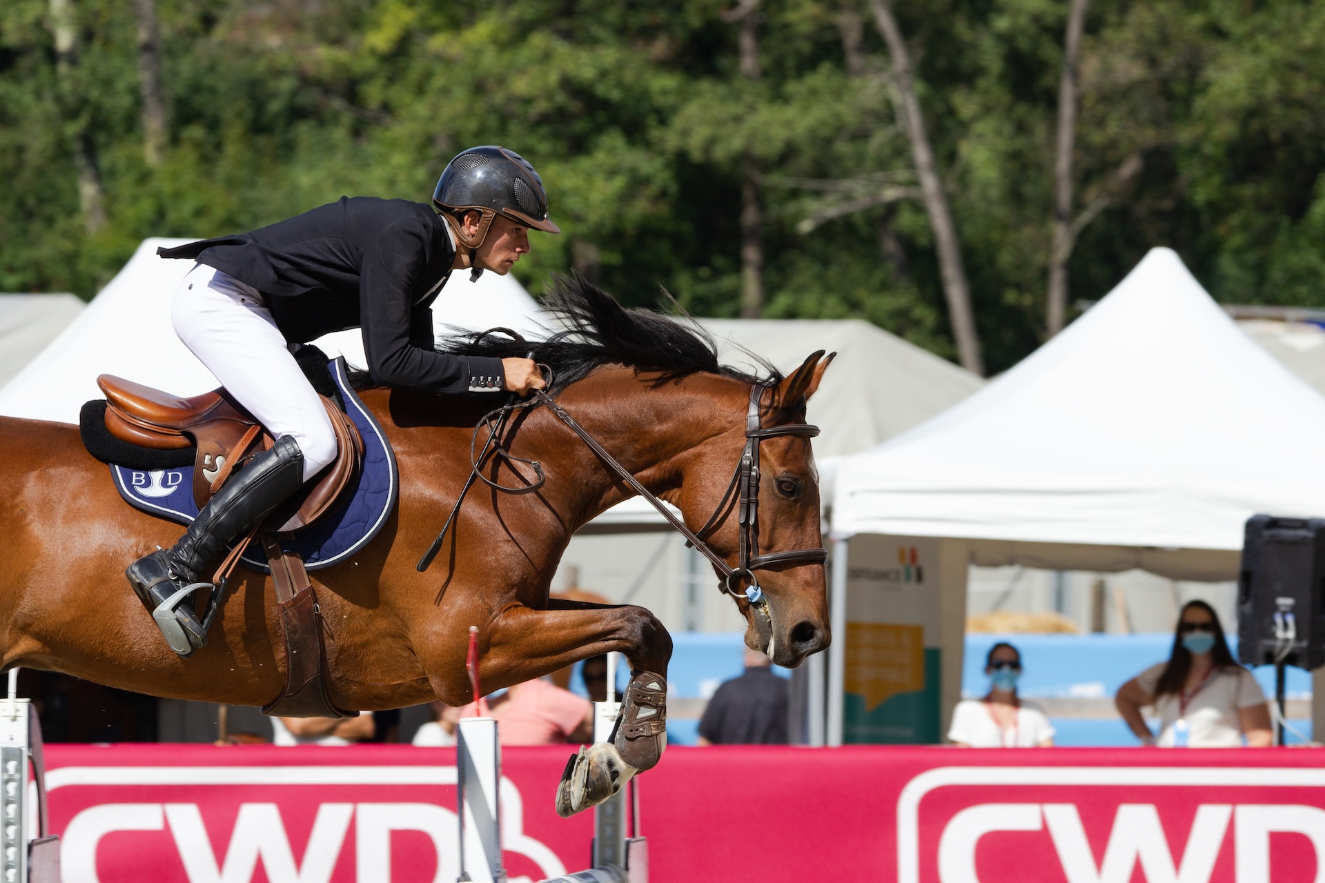 Comment apprendre à monter à cheval